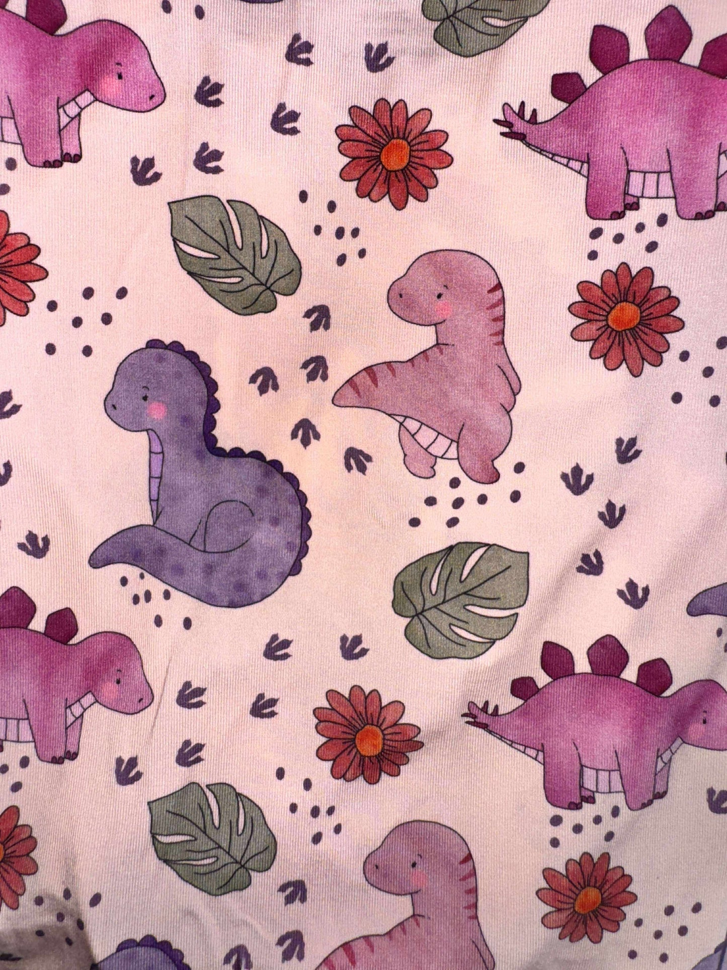 Rosie Raptor Two Piece Pajama Set